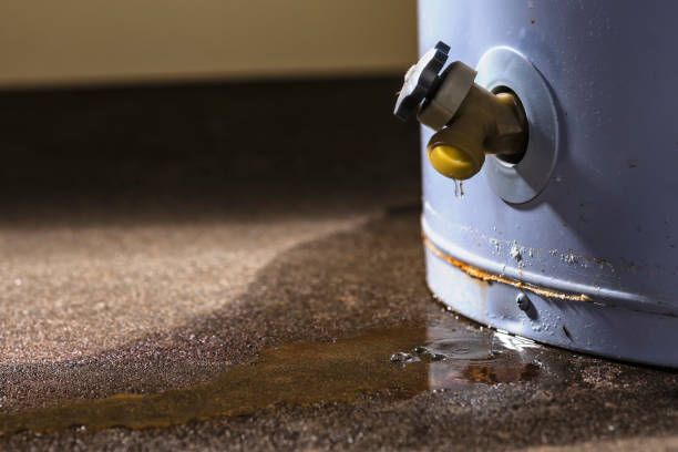 Carpet water damage restoration in IL