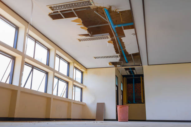 Best Carpet water damage restoration  in Oak Forest, IL