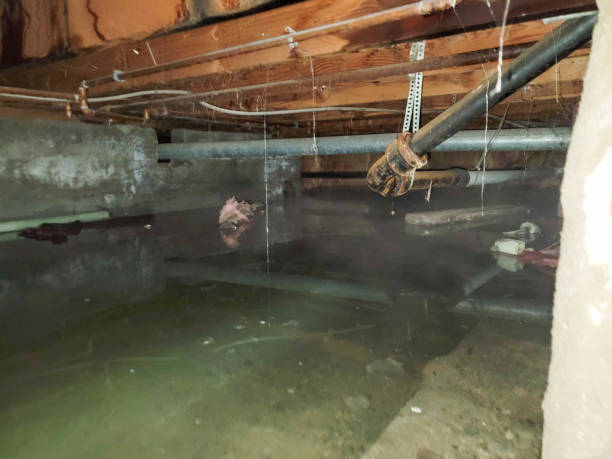 Sewage cleanup and water damage restoration in IL