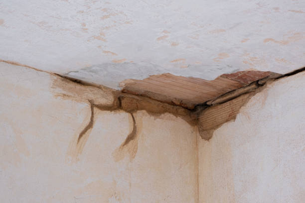 Water damage restoration process in IL