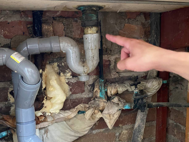 Best Water damage restoration near me  in Oak Forest, IL