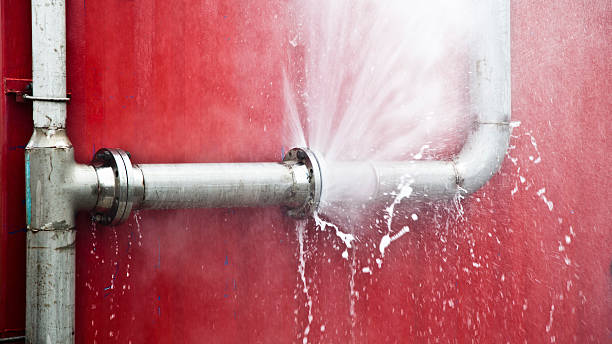Best Sewage cleanup and water damage restoration  in Oak Forest, IL